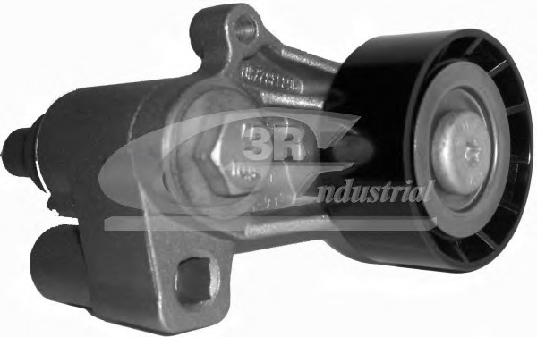 Intinzator curea, curea distributie 10226 3RG - Intinzator curea (sistem de intindere)