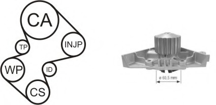 Set pompa apa + curea dintata WPK-169101 AIRTEX - Kit distributie Set pompa apa + curea dintata WPK-169101 AIRTEX - Kit distributie