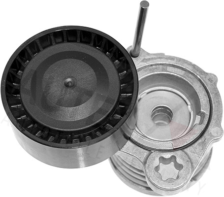 intinzator,curea transmisie 654631 AUTEX - Transmisie - kit accesorii