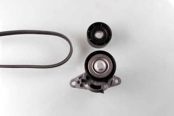 Set curea transmisie cu caneluri 702774 AUTEX - Set curea transmisie cu caneluri