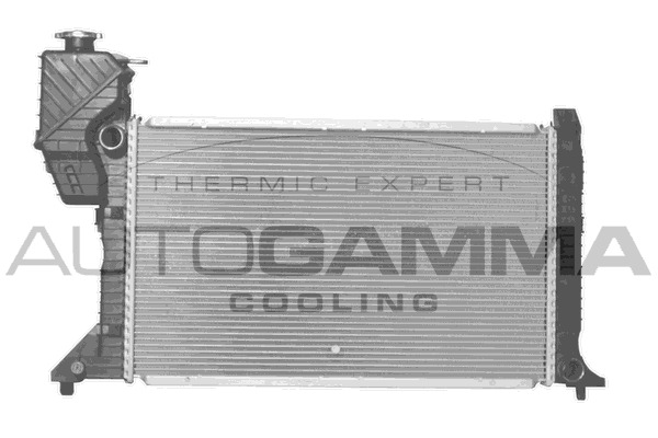 Radiator, racire motor 101323 AUTOGAMMA - Radiator apa/piese Radiator, racire motor 101323 AUTOGAMMA - Radiator apa/piese