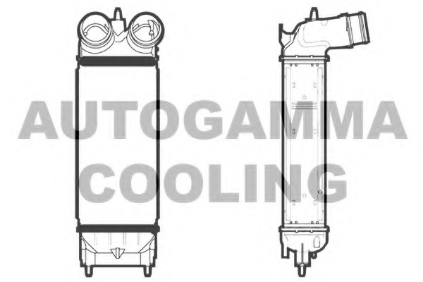 Intercooler, compresor 105888 AUTOGAMMA - Admisie aer motor