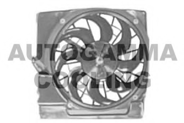 Ventilator, radiator GA201796 AUTOGAMMA - Ventilator radiator