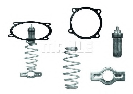 termostat,lichid racire TX 51 79D BEHR - Termostat termostat,lichid racire TX 51 79D BEHR - Termostat