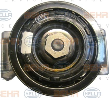 Compresor, climatizare 8FK 351 105-441 BEHR HELLA SERVICE - Compresor/piese Compresor, climatizare 8FK 351 105-441 BEHR HELLA SERVICE - Compresor/piese