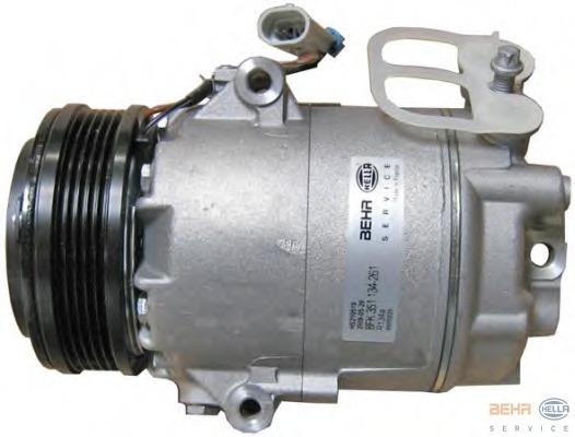 Compresor, climatizare 8FK 351 134-261 BEHR HELLA SERVICE - Compresor/piese Compresor, climatizare 8FK 351 134-261 BEHR HELLA SERVICE - Compresor/piese