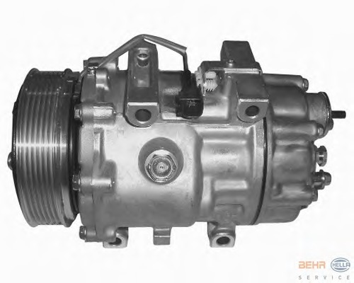 Compresor, climatizare 8FK 351 316-081 BEHR HELLA SERVICE - Compresor/piese Compresor, climatizare 8FK 351 316-081 BEHR HELLA SERVICE - Compresor/piese