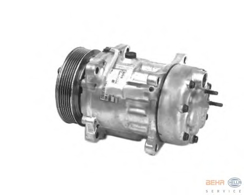 Compresor, climatizare 8FK 351 316-161 BEHR HELLA SERVICE - Compresor/piese Compresor, climatizare 8FK 351 316-161 BEHR HELLA SERVICE - Compresor/piese
