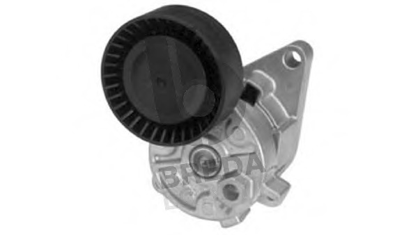 Intinzator curea, curea distributie CR 3033 BREDA LORETT - Transmisie - kit accesorii Intinzator curea, curea distributie CR 3033 BREDA LORETT - Transmisie - kit accesorii