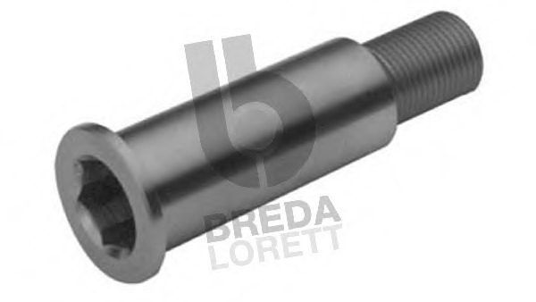 pivot lagar,rola de tensionare CR 3074 BREDA LORETT - Transmisie - kit accesorii pivot lagar,rola de tensionare CR 3074 BREDA LORETT - Transmisie - kit accesorii
