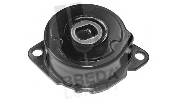 Intinzator curea, curea distributie CR 3894 BREDA LORETT - Transmisie - kit accesorii Intinzator curea, curea distributie CR 3894 BREDA LORETT - Transmisie - kit accesorii