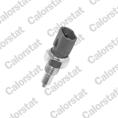 Comutator, lampa marsalier RS5510 CALORSTAT by Vernet - Intrerupatoare / relee / control Comutator, lampa marsalier RS5510 CALORSTAT by Vernet - Intrerupatoare / relee / control