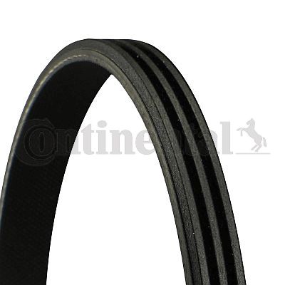 Curea transmisie cu caneluri 3PK670 CONTITECH - Curea transmisie cu caneluri Curea transmisie cu caneluri 3PK670 CONTITECH - Curea transmisie cu caneluri