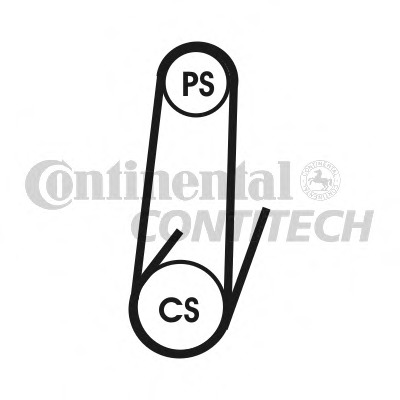 Curea transmisie cu caneluri 4PK711 ELAST CONTITECH - Transmisie - kit accesorii Curea transmisie cu caneluri 4PK711 ELAST CONTITECH - Transmisie - kit accesorii