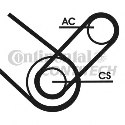 Set curea transmisie cu caneluri 4PK874 ELAST T1 CONTITECH - Transmisie - kit accesorii Set curea transmisie cu caneluri 4PK874 ELAST T1 CONTITECH - Transmisie - kit accesorii