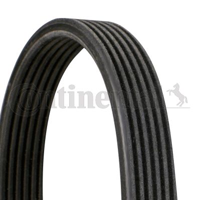 Curea transmisie cu caneluri 6DPK1817 CONTITECH - Transmisie - kit accesorii