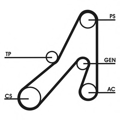 Set curea transmisie cu caneluri 6DPK1841D1 CONTITECH - Fulie curea Set curea transmisie cu caneluri 6DPK1841D1 CONTITECH - Fulie curea