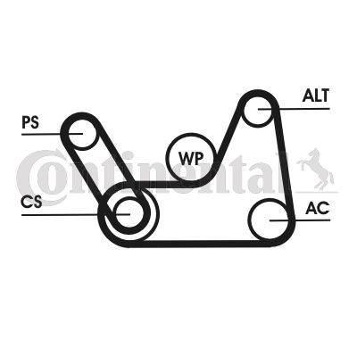 Set curea transmisie cu caneluri 6PK1019 ELAST T1 CONTITECH - Transmisie - kit accesorii