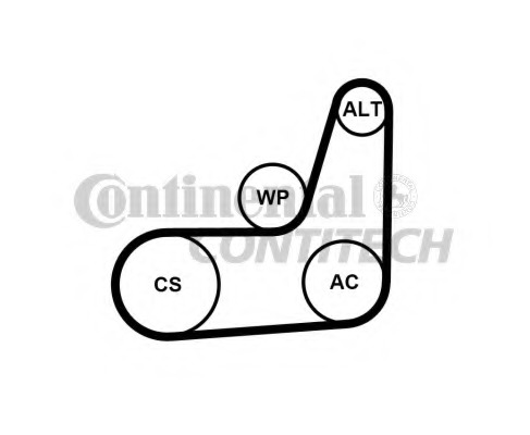 Set curea transmisie cu caneluri 6PK1033 ELAST T1 CONTITECH - Transmisie - kit accesorii Set curea transmisie cu caneluri 6PK1033 ELAST T1 CONTITECH - Transmisie - kit accesorii