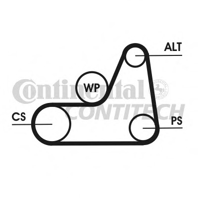 Curea transmisie cu caneluri 6PK1042 ELAST CONTITECH - Transmisie - kit accesorii