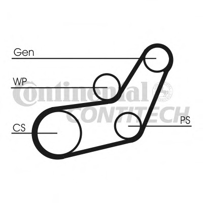 Set curea transmisie cu caneluri 6PK1059 ELAST T1 CONTITECH - Transmisie - kit accesorii Set curea transmisie cu caneluri 6PK1059 ELAST T1 CONTITECH - Transmisie - kit accesorii