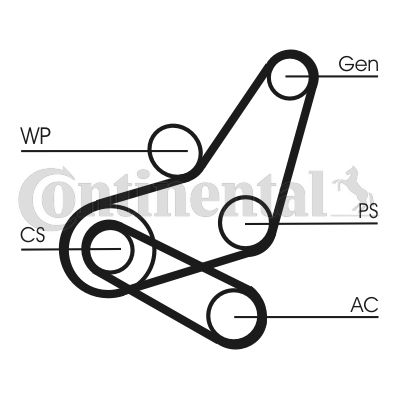Set curea transmisie cu caneluri 6PK1059 ELAST T2 CONTITECH - Transmisie - kit accesorii Set curea transmisie cu caneluri 6PK1059 ELAST T2 CONTITECH - Transmisie - kit accesorii