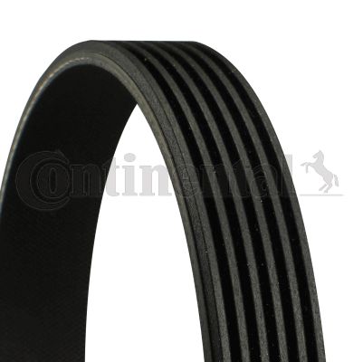 Curea transmisie cu caneluri 6PK1564 CONTITECH - Transmisie - kit accesorii
