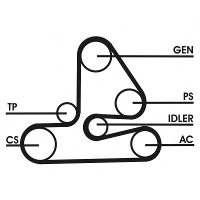 Set curea transmisie cu caneluri 6PK1613D1 CONTITECH - Transmisie - kit accesorii Set curea transmisie cu caneluri 6PK1613D1 CONTITECH - Transmisie - kit accesorii