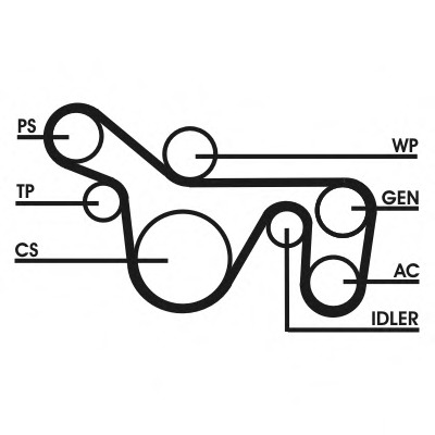 Set curea transmisie cu caneluri 6PK1720D2 CONTITECH - Fulie curea Set curea transmisie cu caneluri 6PK1720D2 CONTITECH - Fulie curea