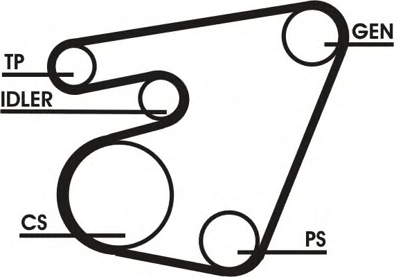 Set curea transmisie cu caneluri 6PK1750D1 CONTITECH - Set curea transmisie cu caneluri Set curea transmisie cu caneluri 6PK1750D1 CONTITECH - Set curea transmisie cu caneluri