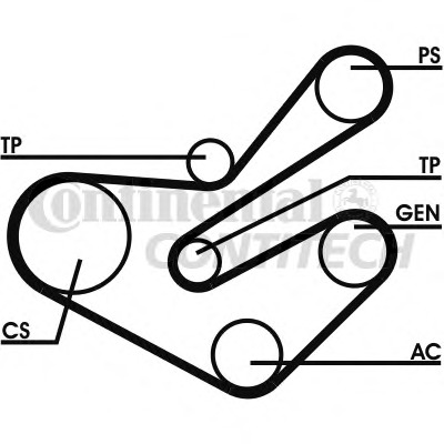Set curea transmisie cu caneluri 6PK1750D2 CONTITECH - Fulie curea Set curea transmisie cu caneluri 6PK1750D2 CONTITECH - Fulie curea