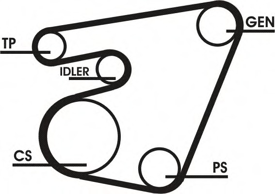 Set curea transmisie cu caneluri 6PK1767D1 CONTITECH - Set curea transmisie cu caneluri Set curea transmisie cu caneluri 6PK1767D1 CONTITECH - Set curea transmisie cu caneluri