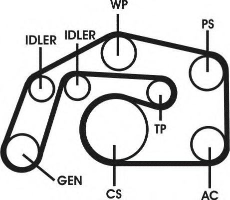 Set curea transmisie cu caneluri 6PK2460D1 CONTITECH - Set curea transmisie cu caneluri