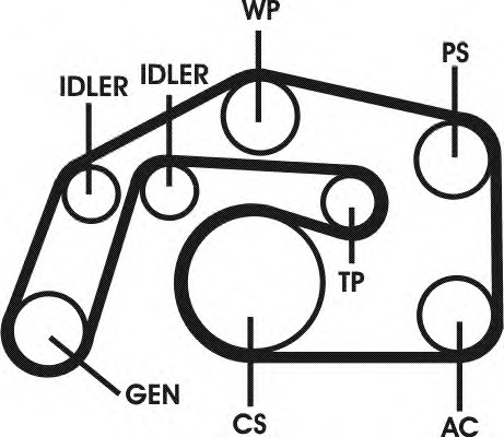 Set curea transmisie cu caneluri 6PK2490D1 CONTITECH - Set curea transmisie cu caneluri