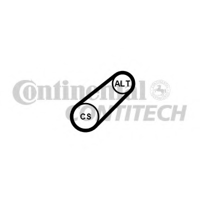 Curea transmisie cu caneluri 6PK701 ELAST CONTITECH - Transmisie - kit accesorii