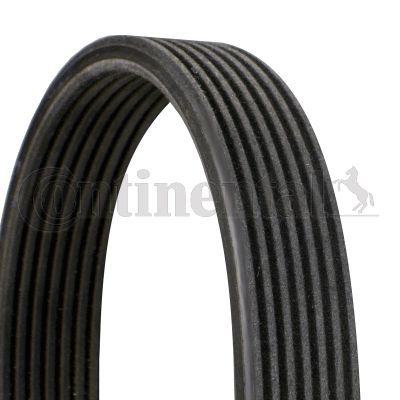 Curea transmisie cu caneluri 7DPK1697 CONTITECH - Transmisie - kit accesorii