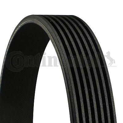 Curea transmisie cu caneluri 7PK1104 CONTITECH - Transmisie - kit accesorii