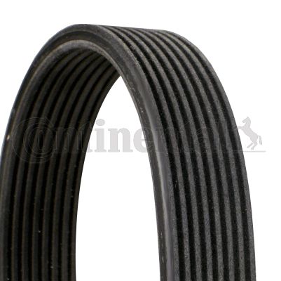 Curea transmisie cu caneluri 8DPK1833 CONTITECH - Transmisie - kit accesorii