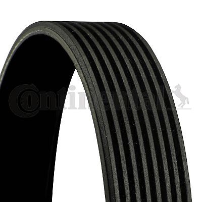 Curea transmisie cu caneluri 8PK1175 CONTITECH - Transmisie - kit accesorii
