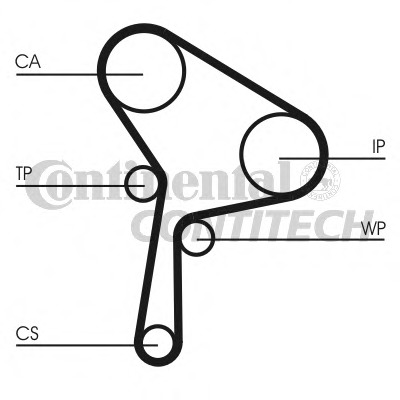 Curea de distributie CT1025 CONTITECH - Curea distributie Curea de distributie CT1025 CONTITECH - Curea distributie