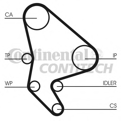 Curea de distributie CT1037 CONTITECH - Kit distributie / curea distributie