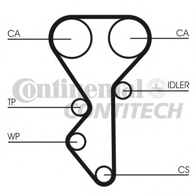 Curea de distributie CT955 CONTITECH - Curea distributie Curea de distributie CT955 CONTITECH - Curea distributie