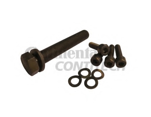 Set surub, disc curea-arbore cotit MS09 CONTITECH - Fulie curea Set surub, disc curea-arbore cotit MS09 CONTITECH - Fulie curea