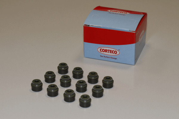Set garnituri, ax supape 19036018 CORTECO - Ghid supapa/simering supapa/reglaj supapa Set garnituri, ax supape 19036018 CORTECO - Ghid supapa/simering supapa/reglaj supapa