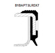 Simering, arbore cotit 20031177B CORTECO - Arbore cotit, angrenare