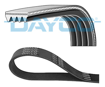 Curea transmisie cu caneluri 4PK736 DAYCO - Curea transmisie cu caneluri Curea transmisie cu caneluri 4PK736 DAYCO - Curea transmisie cu caneluri