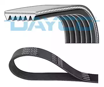 Curea transmisie cu caneluri 6PK1683 DAYCO - Transmisie - kit accesorii