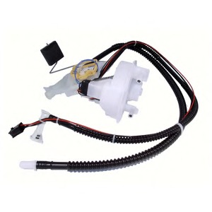 Modul alimentare combustibil FT10012-12B1 DELPHI - Pompa combustibil Modul alimentare combustibil FT10012-12B1 DELPHI - Pompa combustibil