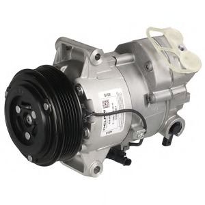 Compresor, climatizare TSP0155988 DELPHI - Compresor/piese Compresor, climatizare TSP0155988 DELPHI - Compresor/piese