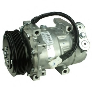 Compresor, climatizare TSP0159273 DELPHI - Compresor/piese Compresor, climatizare TSP0159273 DELPHI - Compresor/piese